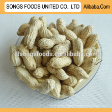 Erdnüsse in großen Mengen zum Verkauf importieren